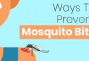 Preventing mosquito bites